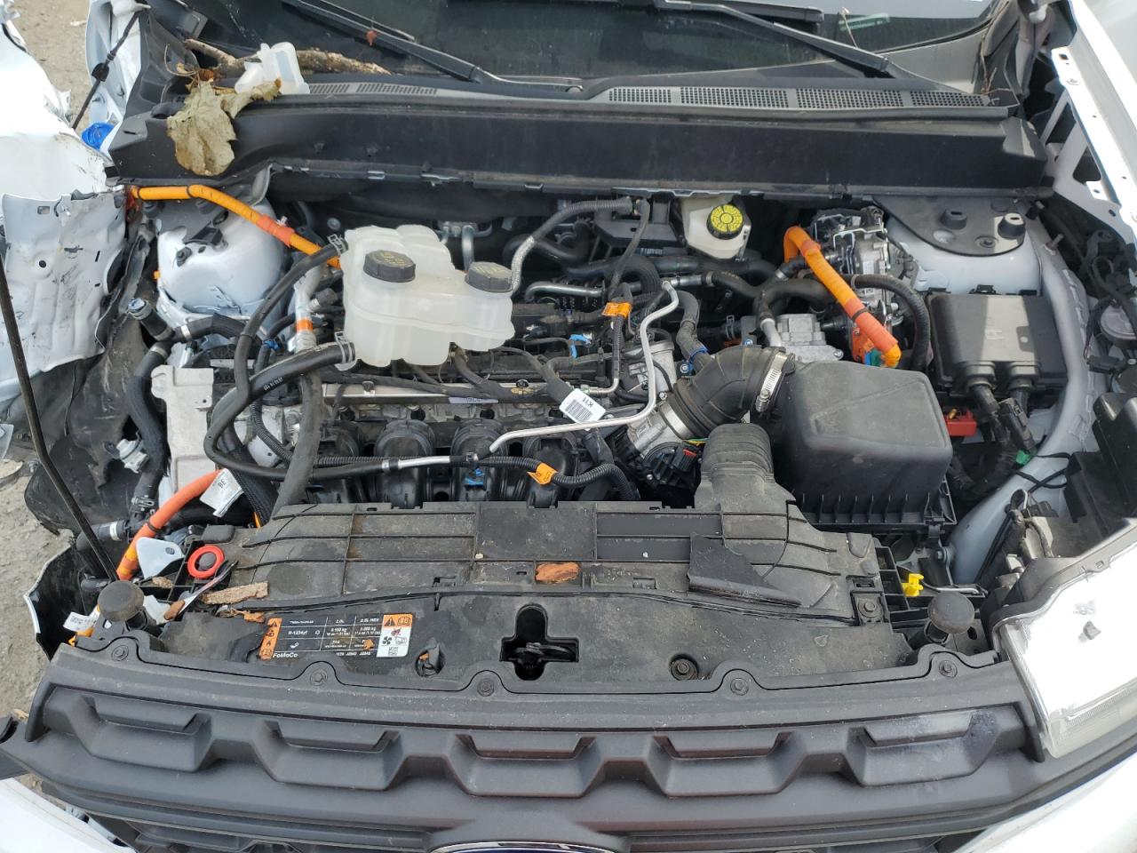 2024 Ford Maverick Xl VIN: 3FTTW8A37RRB64653 Lot: 64640785
