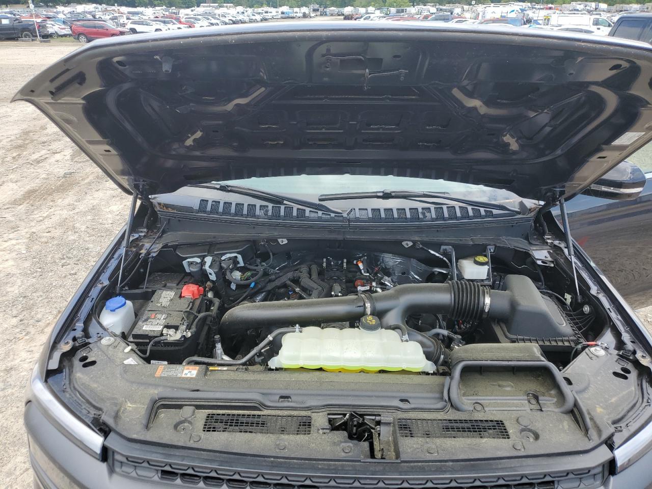 2024 Ford Expedition Timberline VIN: 1FMJU1RG6REA74372 Lot: 64783835