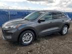 2020 FORD ESCAPE SE   for sale at Copart AB - CALGARY