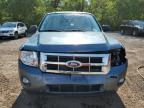 2011 FORD ESCAPE XLT   à vendre chez Copart ON - COOKSTOWN