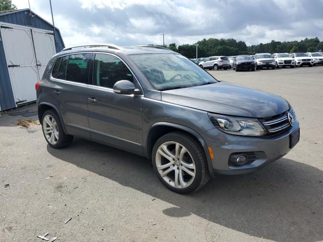 Parquets VOLKSWAGEN TIGUAN 2013 Gray
