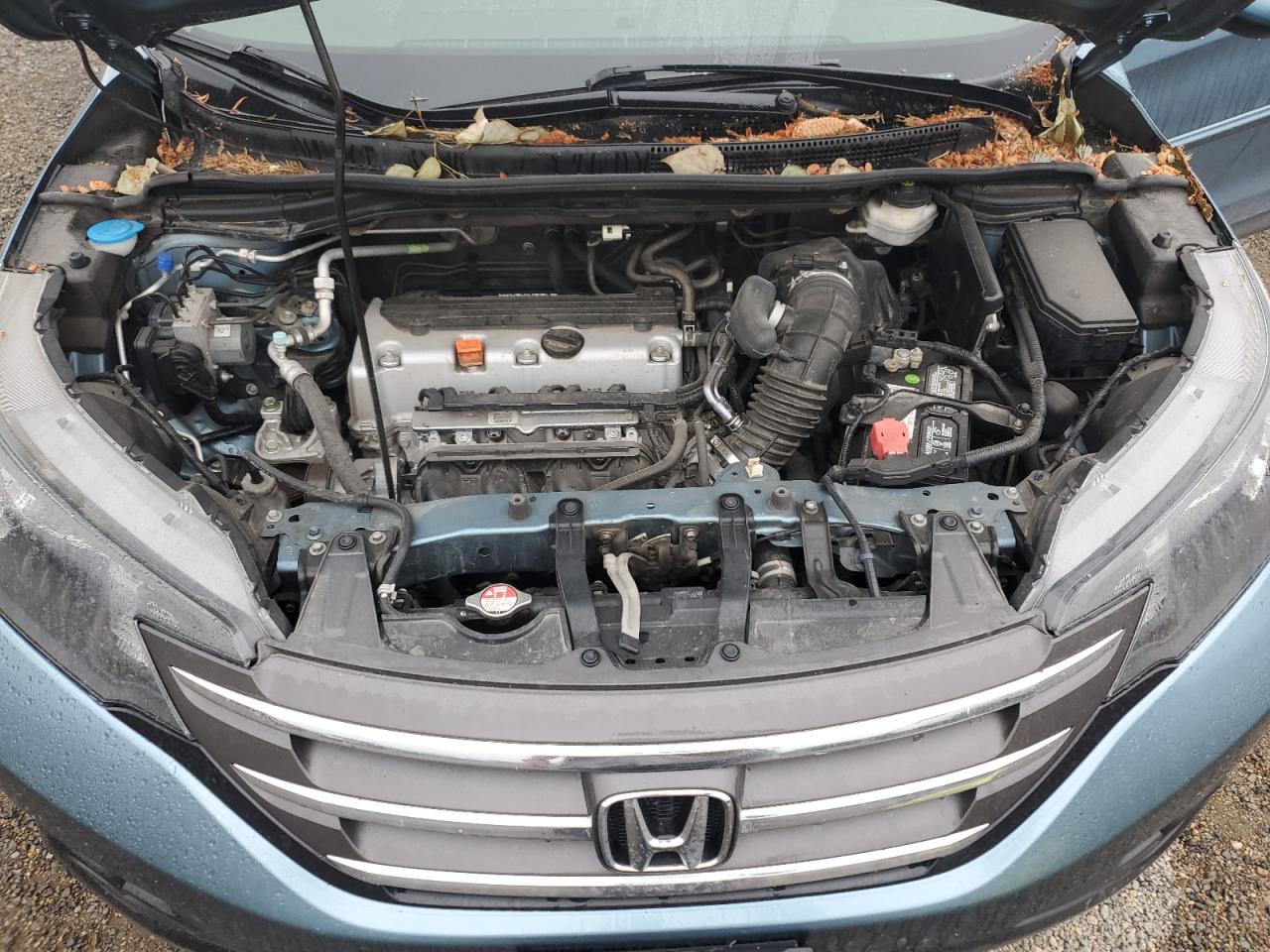 2014 Honda Cr-V Exl VIN: 5J6RM4H7XEL103432 Lot: 64466955