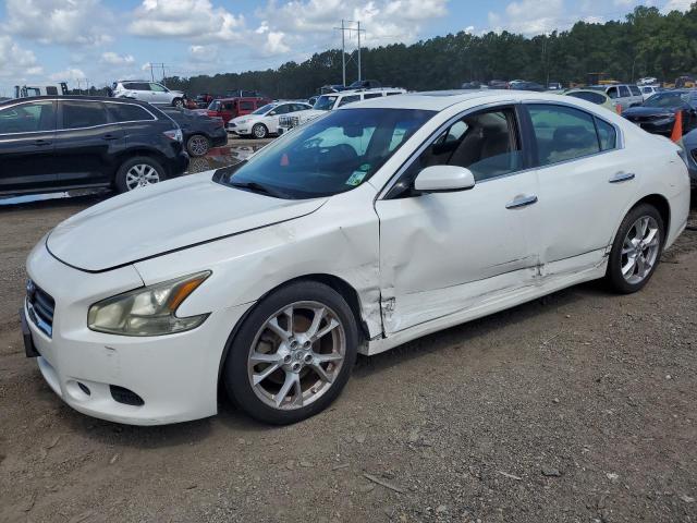  NISSAN MAXIMA 2012 White