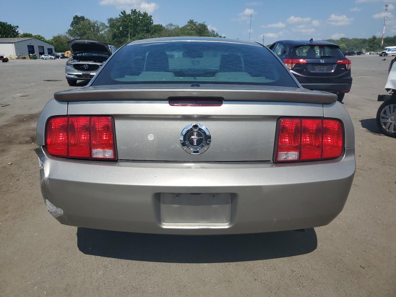 2008 Ford Mustang VIN: 1ZVHT80N985121979 Lot: 64088295