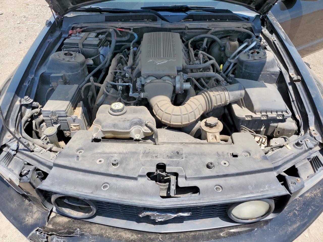 2009 Ford Mustang Gt VIN: 1ZVHT85H795126585 Lot: 64639495