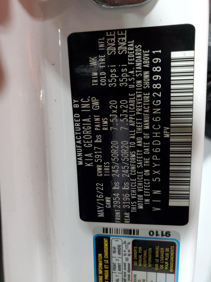 2022 Kia Telluride S VIN: 5XYP6DHC6NG289891 Lot: 65721935