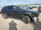 2025 LEXUS NX 350H BASE   for sale at Copart AB - EDMONTON