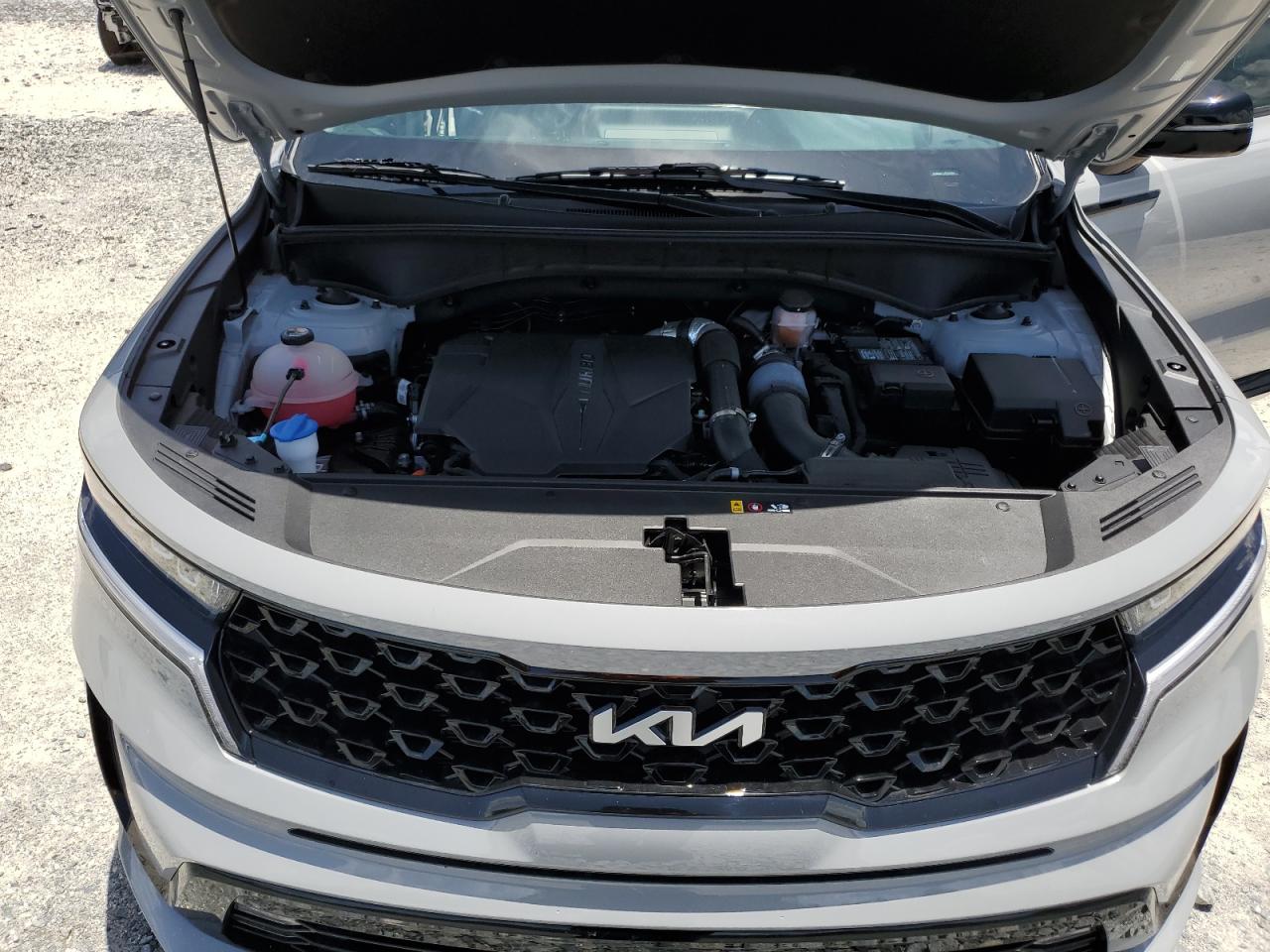 2023 Kia Sorento Ex VIN: 5XYRH4LF1PG204804 Lot: 65190005