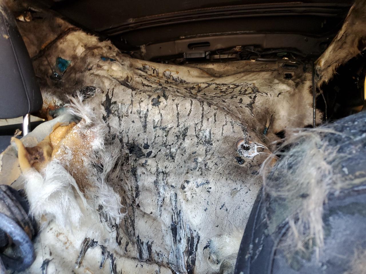 2020 Jeep Cherokee Latitude VIN: 1C4PJMCB0LD584719 Lot: 66609935