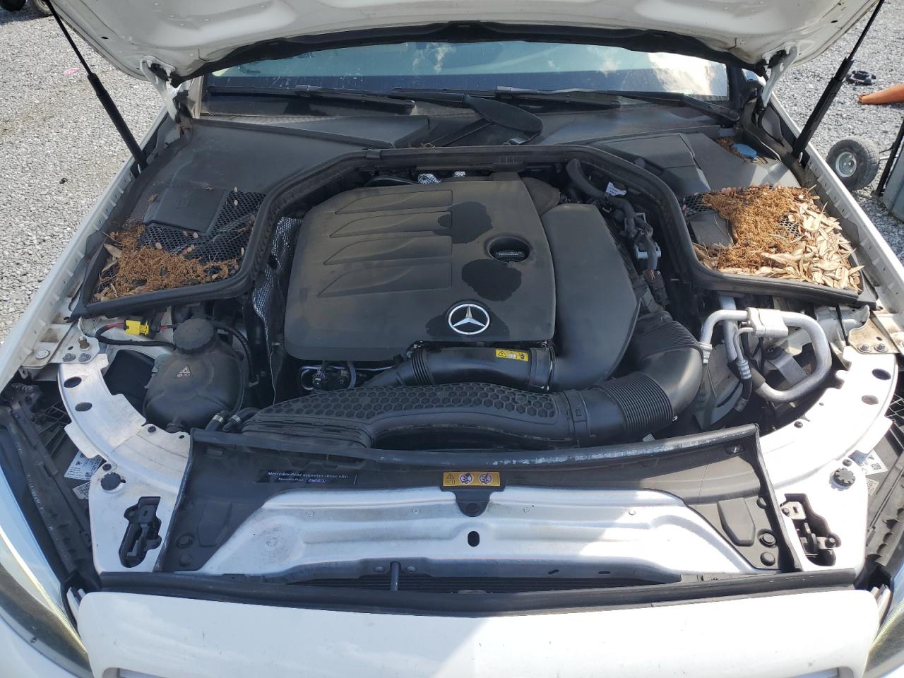 2019 Mercedes-Benz C 300 VIN: 55SWF8DB7KU296544 Lot: 64545545