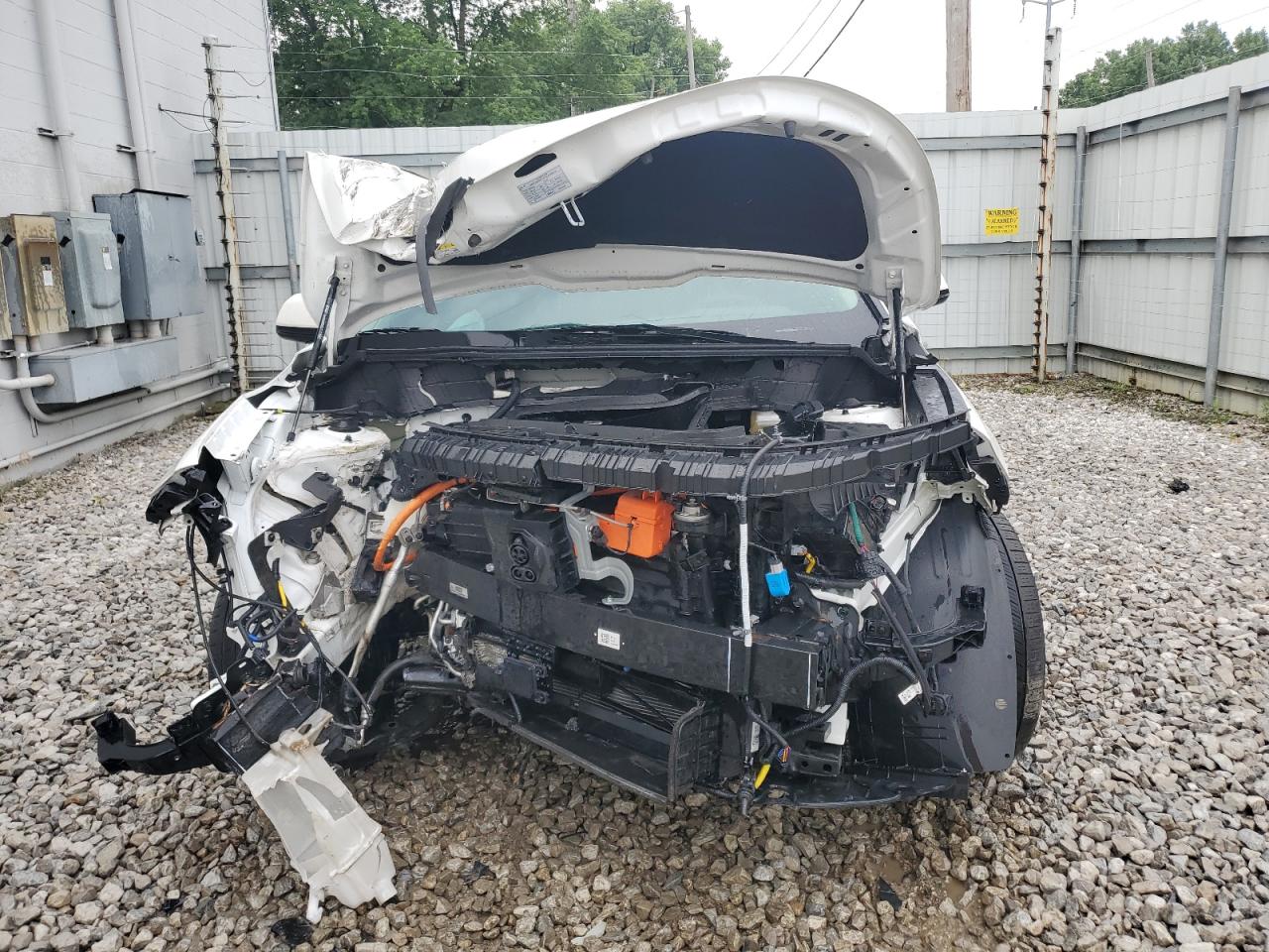 kndcr3l19r5112059 KNDCR3L19R5112059 2024 Kia Niro Wind