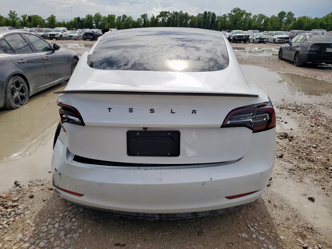2020 Tesla Model 3 VIN: 5YJ3E1EA4LF737357 Lot: 63551745