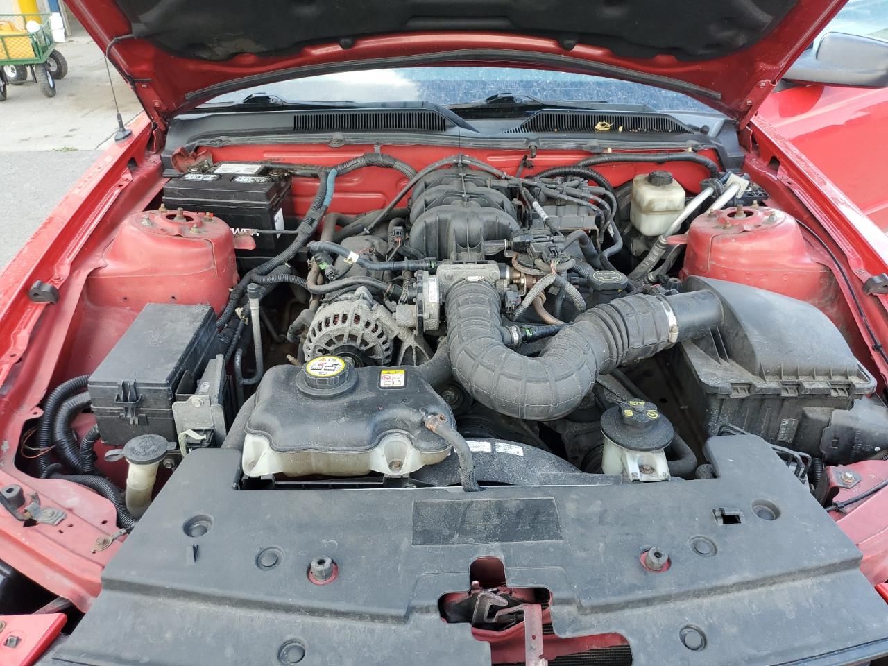 2007 Ford Mustang VIN: 1ZVFT84N175370647 Lot: 65949055