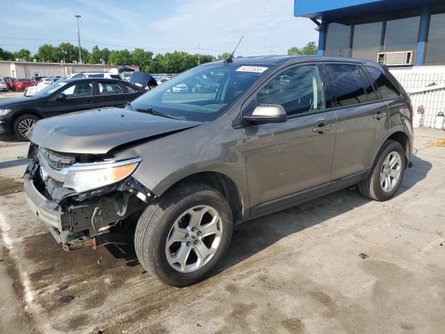 Parquets FORD EDGE 2014 Gold