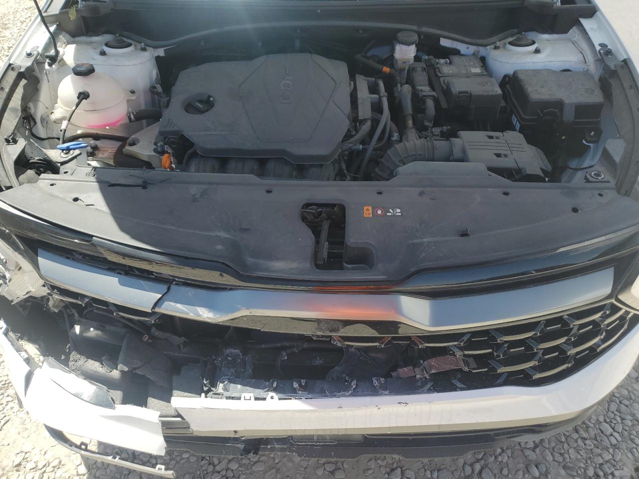 2024 Kia Sportage X-Pro VIN: 5XYK7CDF3RG197869 Lot: 66494305