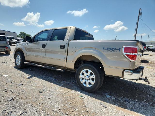  FORD F-150 2013 tan