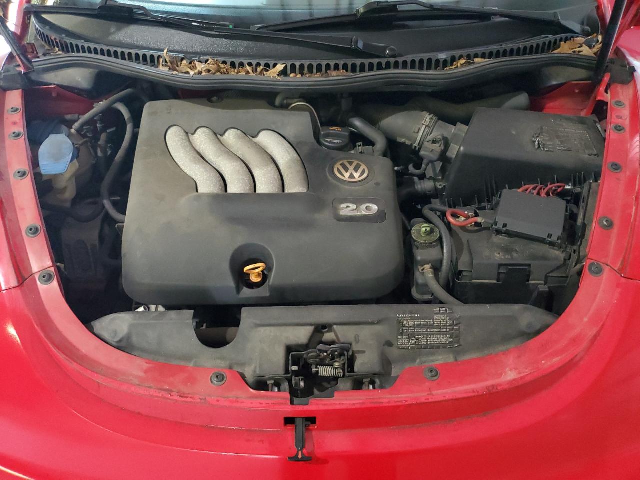 2005 Volkswagen New Beetle Gls VIN: 3VWCM31Y65M360978 Lot: 62787655