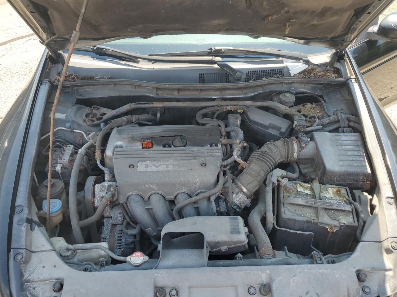 2009 Honda Accord Exl VIN: 1HGCP26889A179754 Lot: 66798945