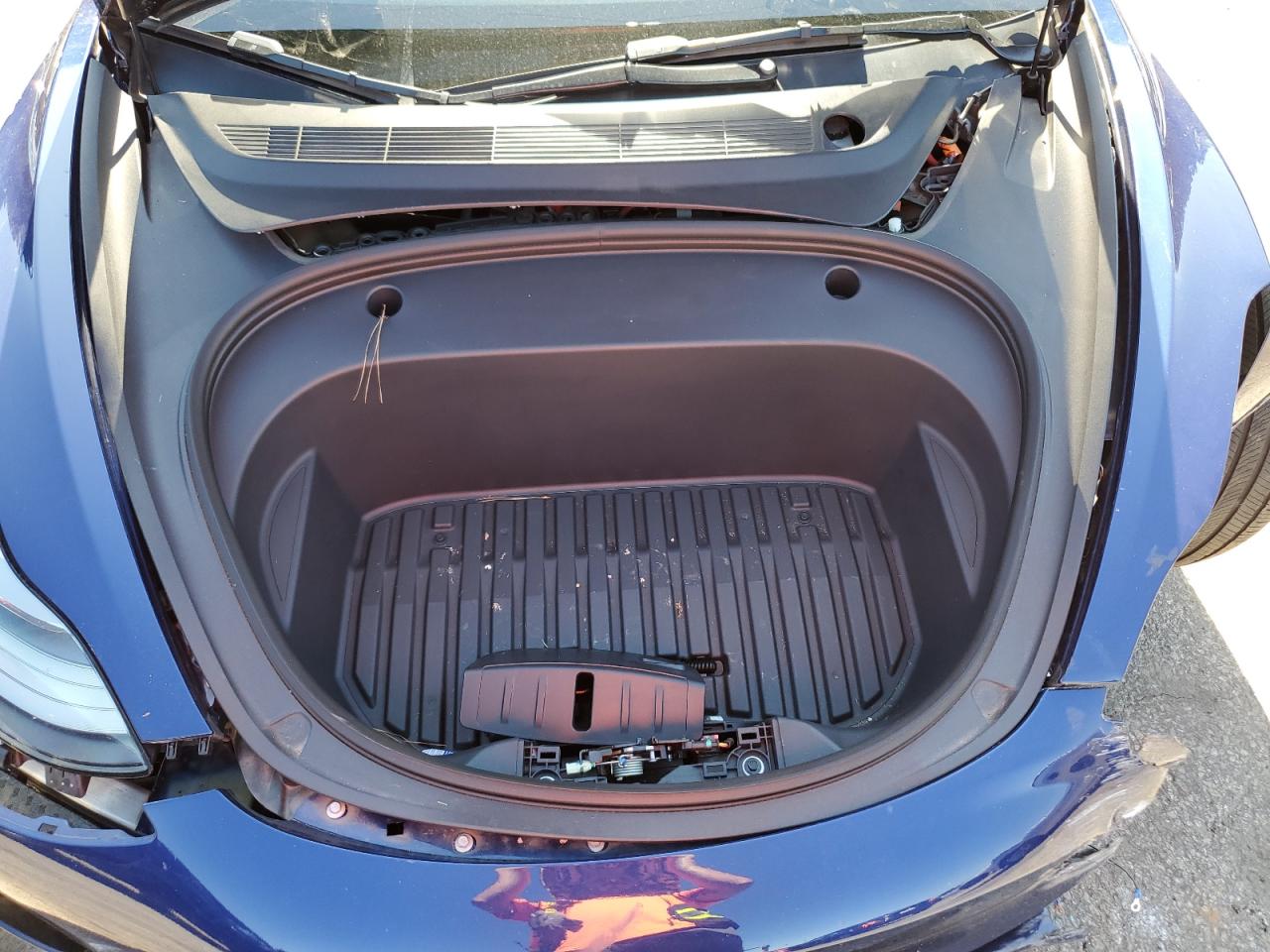 2023 Tesla Model 3 VIN: 5YJ3E1EA0PF556469 Lot: 63046915