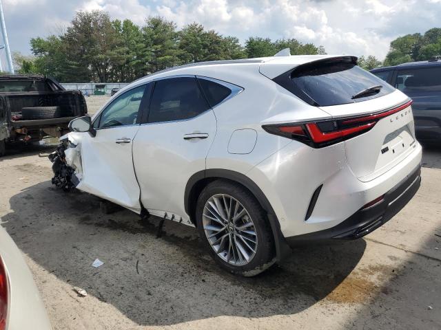  LEXUS NX 350H BA 2024 Белы