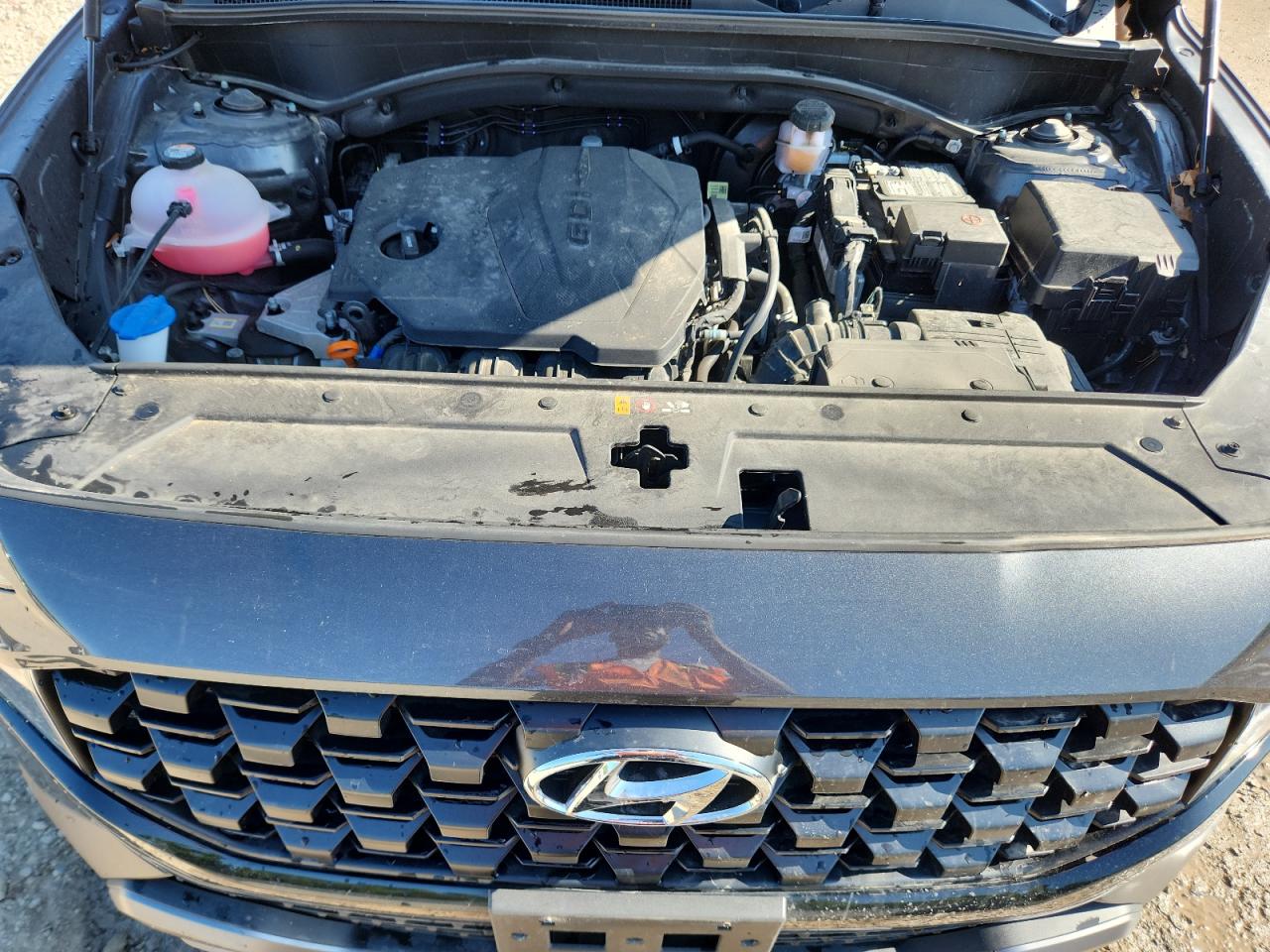 2022 Hyundai Santa Fe Sel VIN: 5NMS6DAJ9NH473604 Lot: 63482665