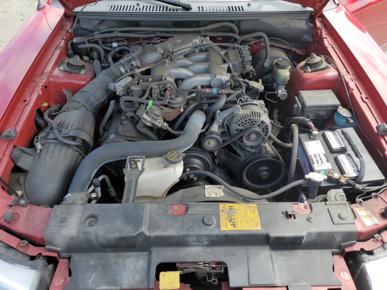 1999 Ford Mustang VIN: 1FAFP4046XF183451 Lot: 64462575