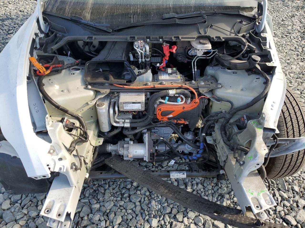 2023 Tesla Model Y VIN: 7SAYGDEE0PA096864 Lot: 64566225