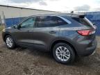 2020 FORD ESCAPE SE   for sale at Copart AB - CALGARY