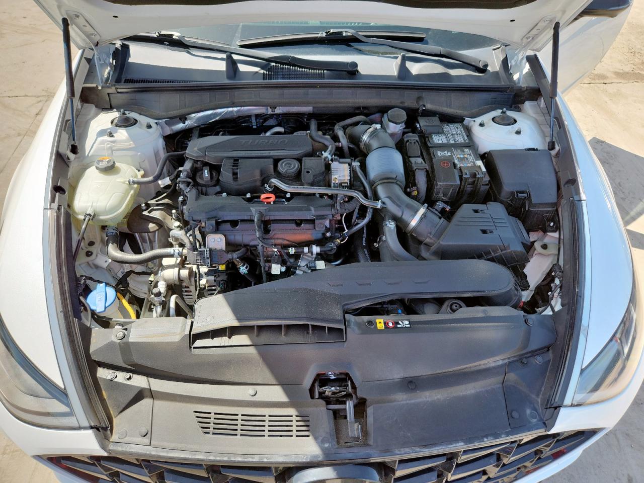 2021 Hyundai Sonata Limited VIN: 5NPEH4J22MH065155 Lot: 65370755