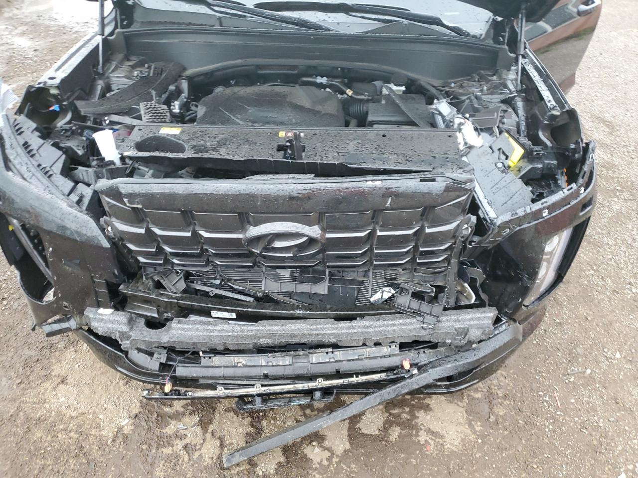 2025 Hyundai Palisade Xrt VIN: KM8R3DGE1SU870807 Lot: 65003425