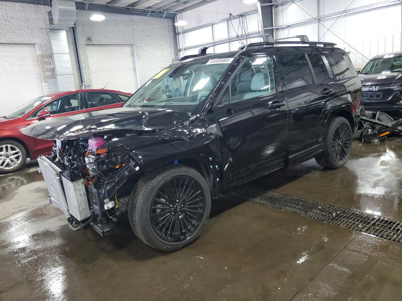 2025 Hyundai Santa Fe Calligraphy VIN: 5NMP5DG10SH035484 Lot: 65000065
