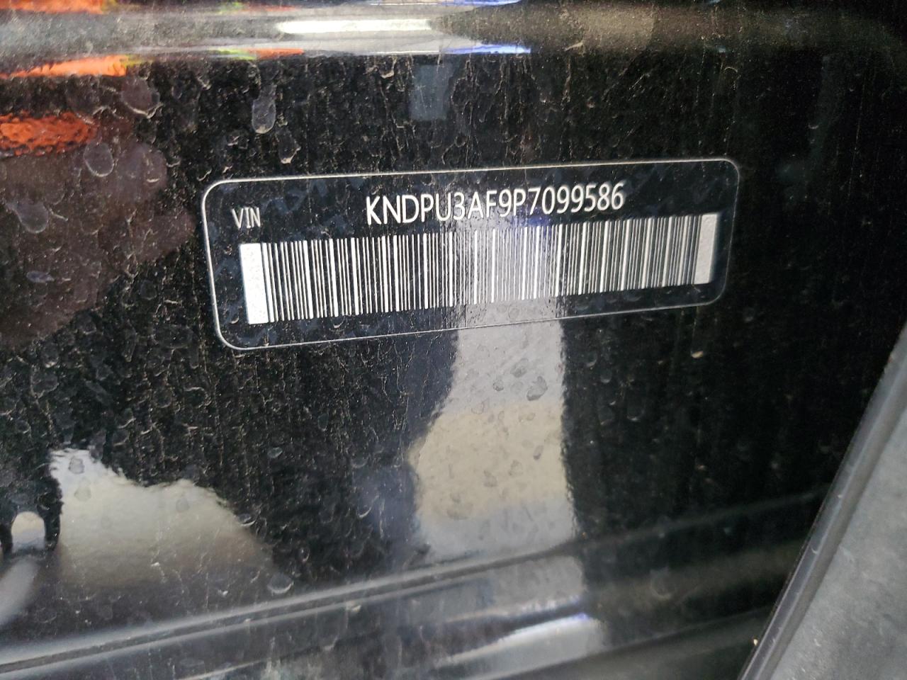 2023 Kia Sportage Lx VIN: KNDPU3AF9P7099586 Lot: 65215355