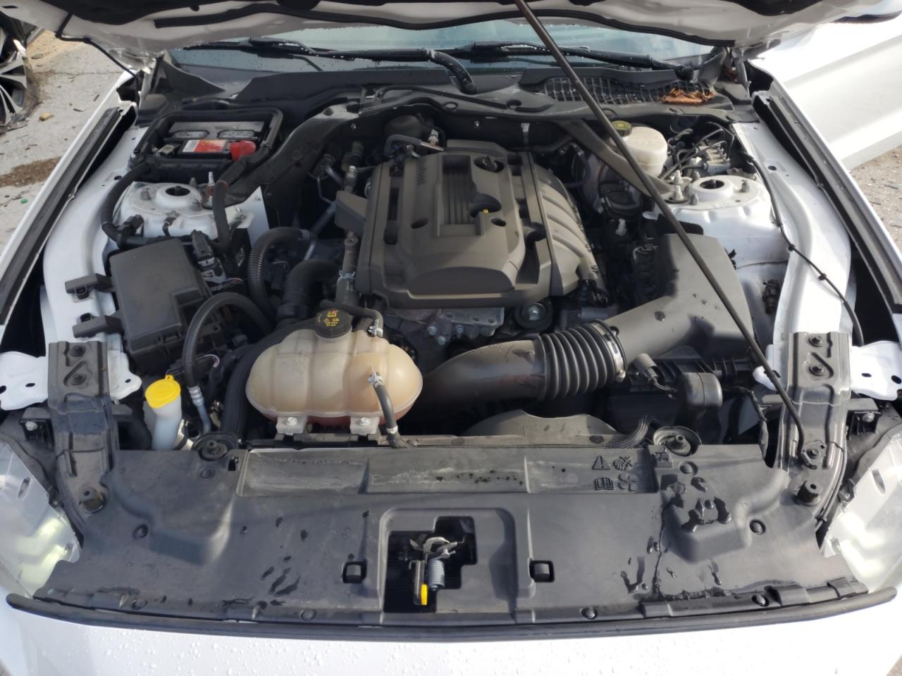 2019 Ford Mustang VIN: 1FATP8UH2K5178768 Lot: 64257685
