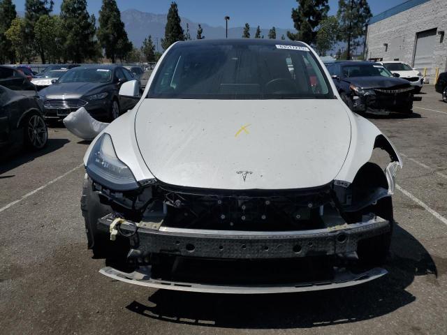  TESLA MODEL Y 2021 White