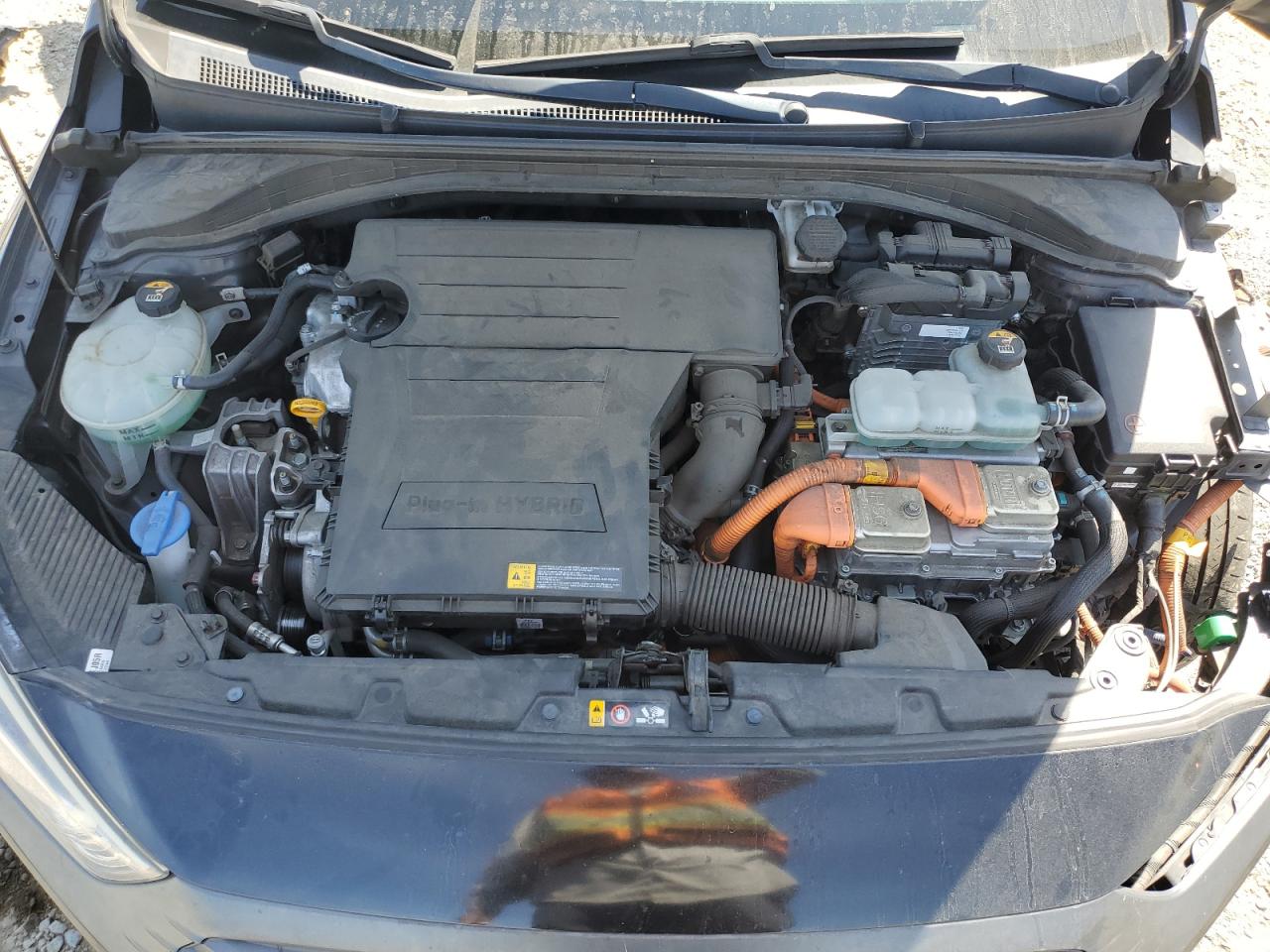 2019 Hyundai Ioniq VIN: KMHC65LD4KU111438 Lot: 64239755