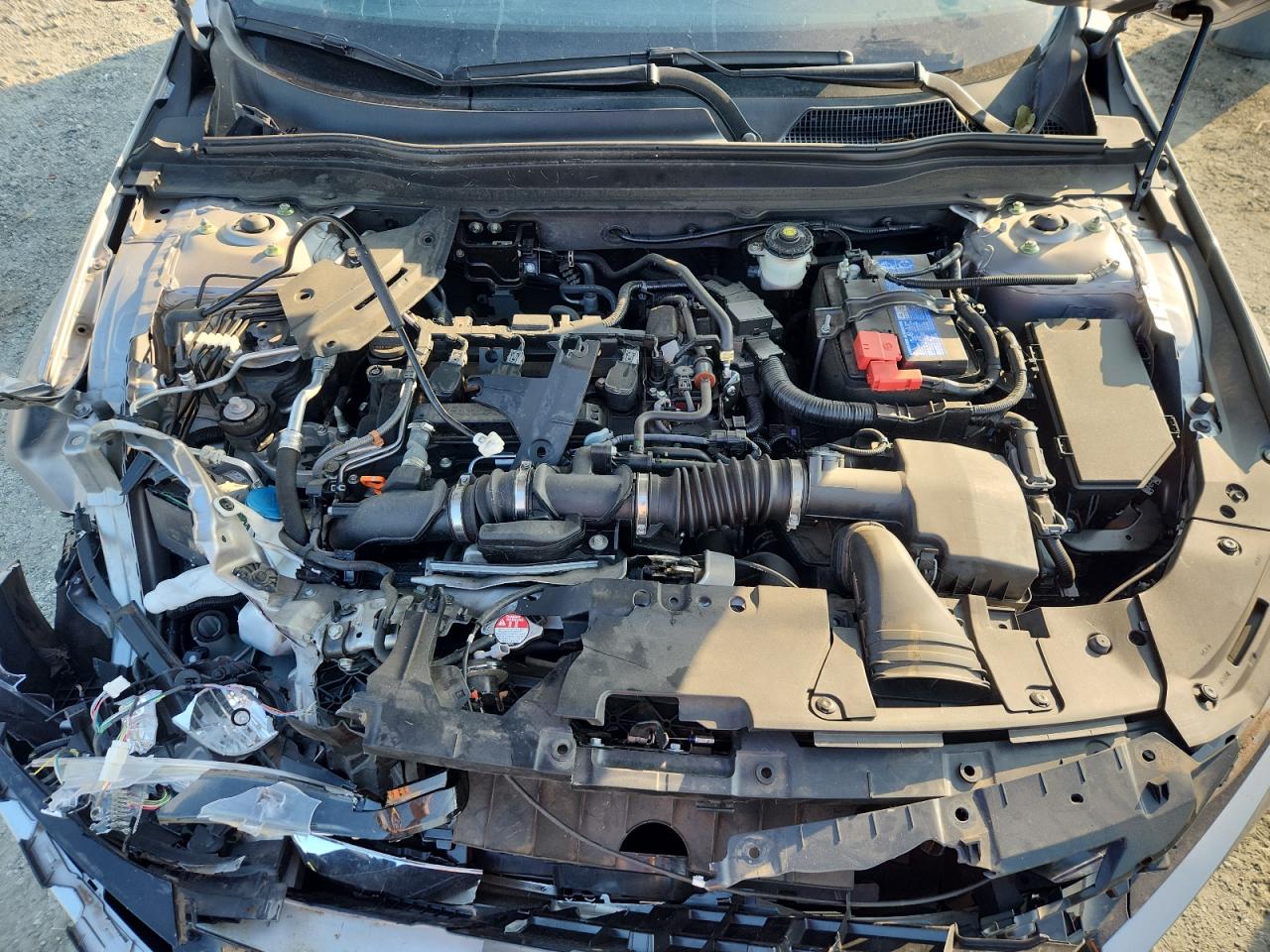 2021 Honda Accord Lx VIN: 1HGCV1F15MA019407 Lot: 63080625