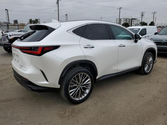 LEXUS NX 350H BA 2024 Белы
