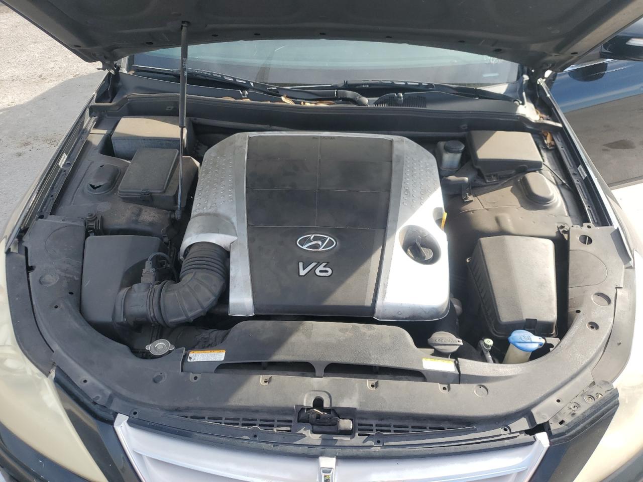 2009 Hyundai Genesis 3.8L VIN: KMHGC46E29U021868 Lot: 64109765