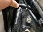 2013 HARLEY-DAVIDSON FLSTC HERITAGE SOFTAIL CLASSIC   for sale at Copart IA - DAVENPORT