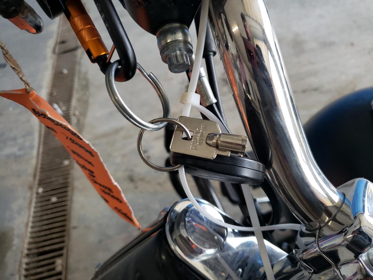 2010 Harley-Davidson Flstfb VIN: 1HD1JN519AB045264 Lot: 65524545