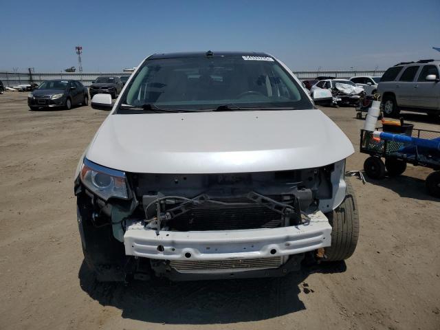  FORD EDGE 2013 Белы