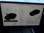 2023 TESLA MODEL Y    for sale at Copart ON - COOKSTOWN