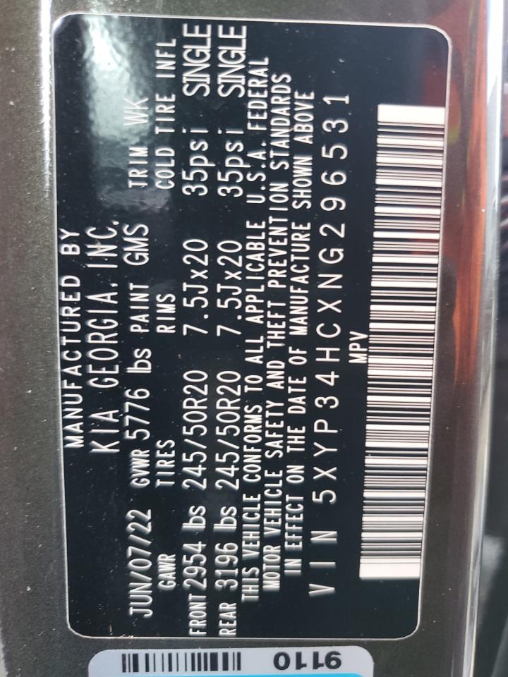 2022 Kia Telluride Ex VIN: 5XYP34HCXNG296531 Lot: 64272085