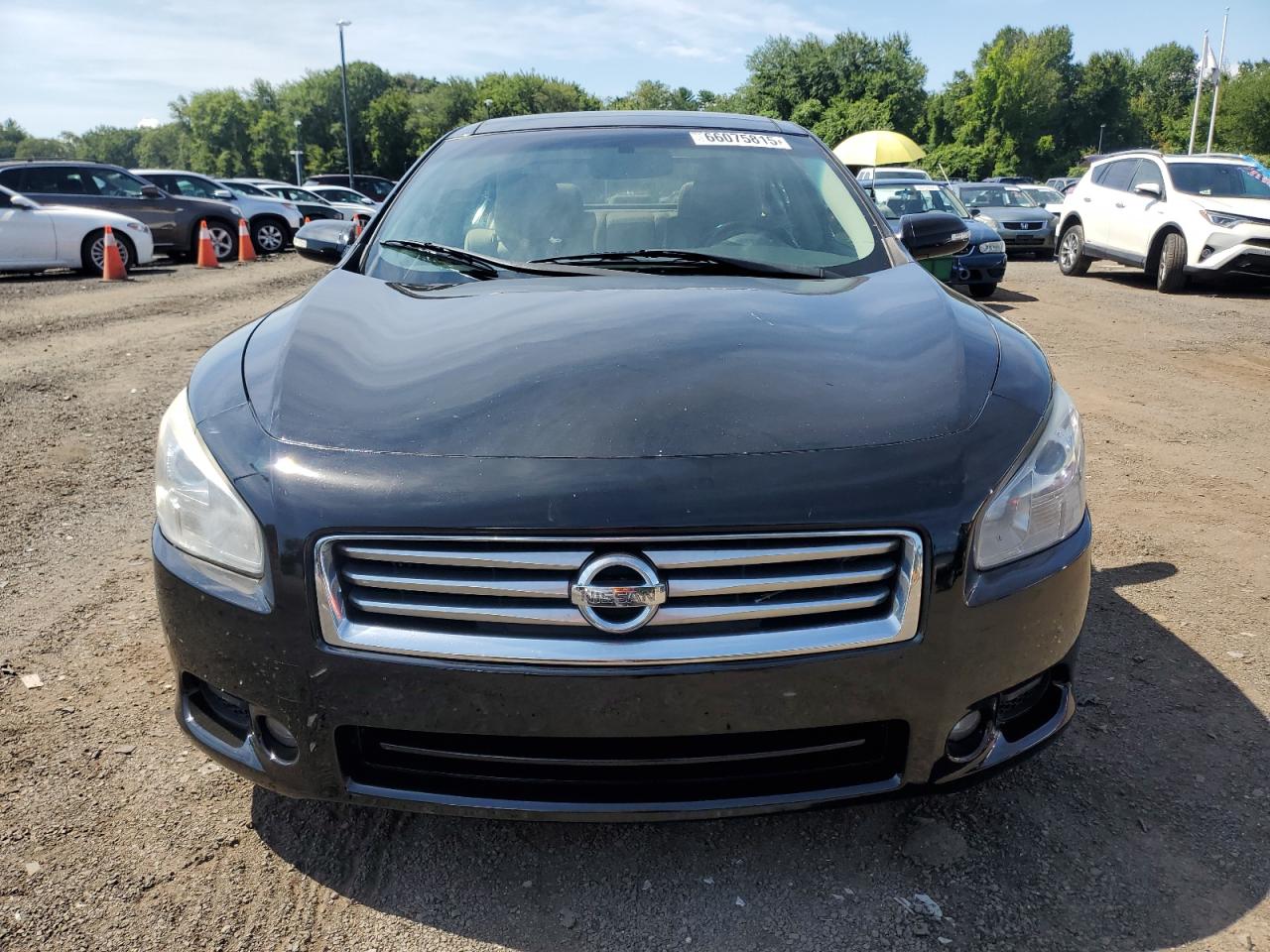 2014 Nissan Maxima S VIN: 1N4AA5AP0EC450480 Lot: 66075815