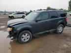 2009 FORD ESCAPE XLT   à vendre chez Copart ON - LONDON