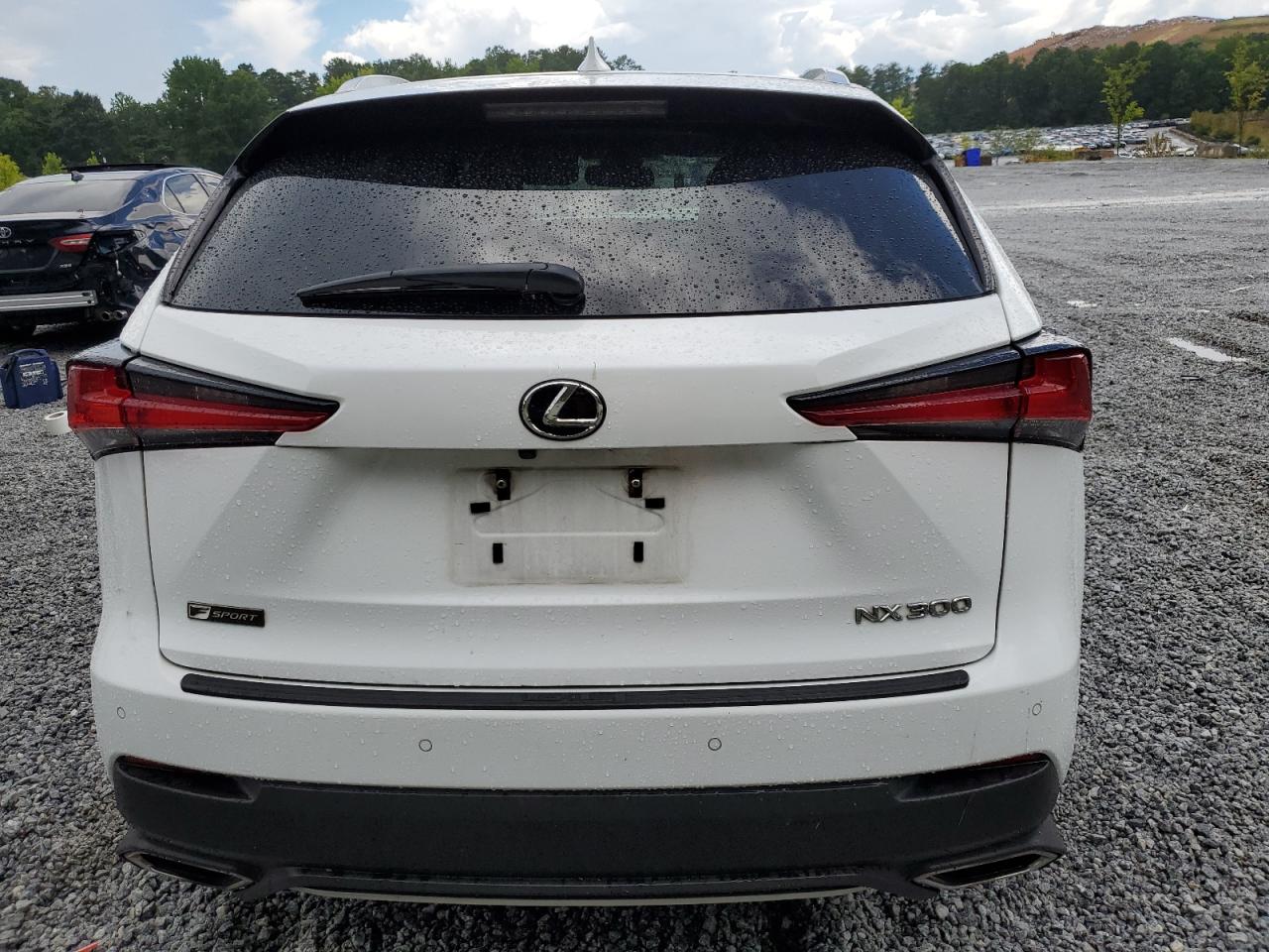 2019 Lexus Nx 300 Base VIN: JTJYARBZ9K2125907 Lot: 63044435