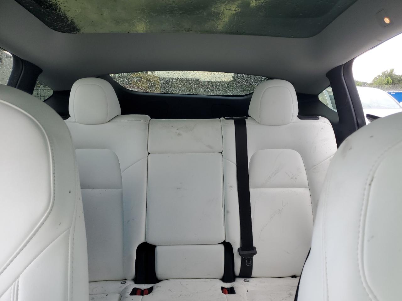 2023 Tesla Model Y VIN: 7SAYGDEF2PF831923 Lot: 63479905