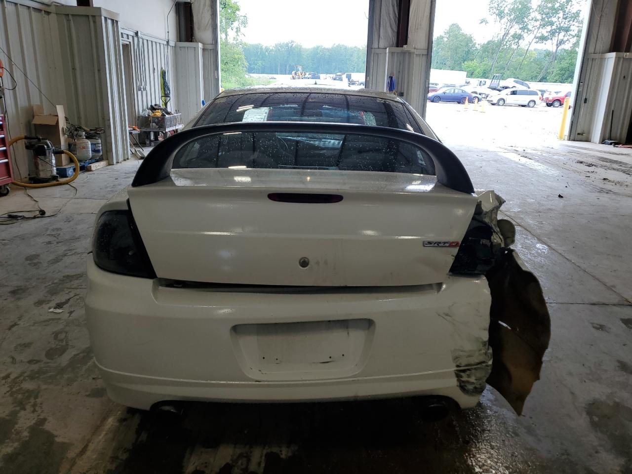 2004 Dodge Neon Srt-4 VIN: 1B3ES66S14D569869 Lot: 64377965