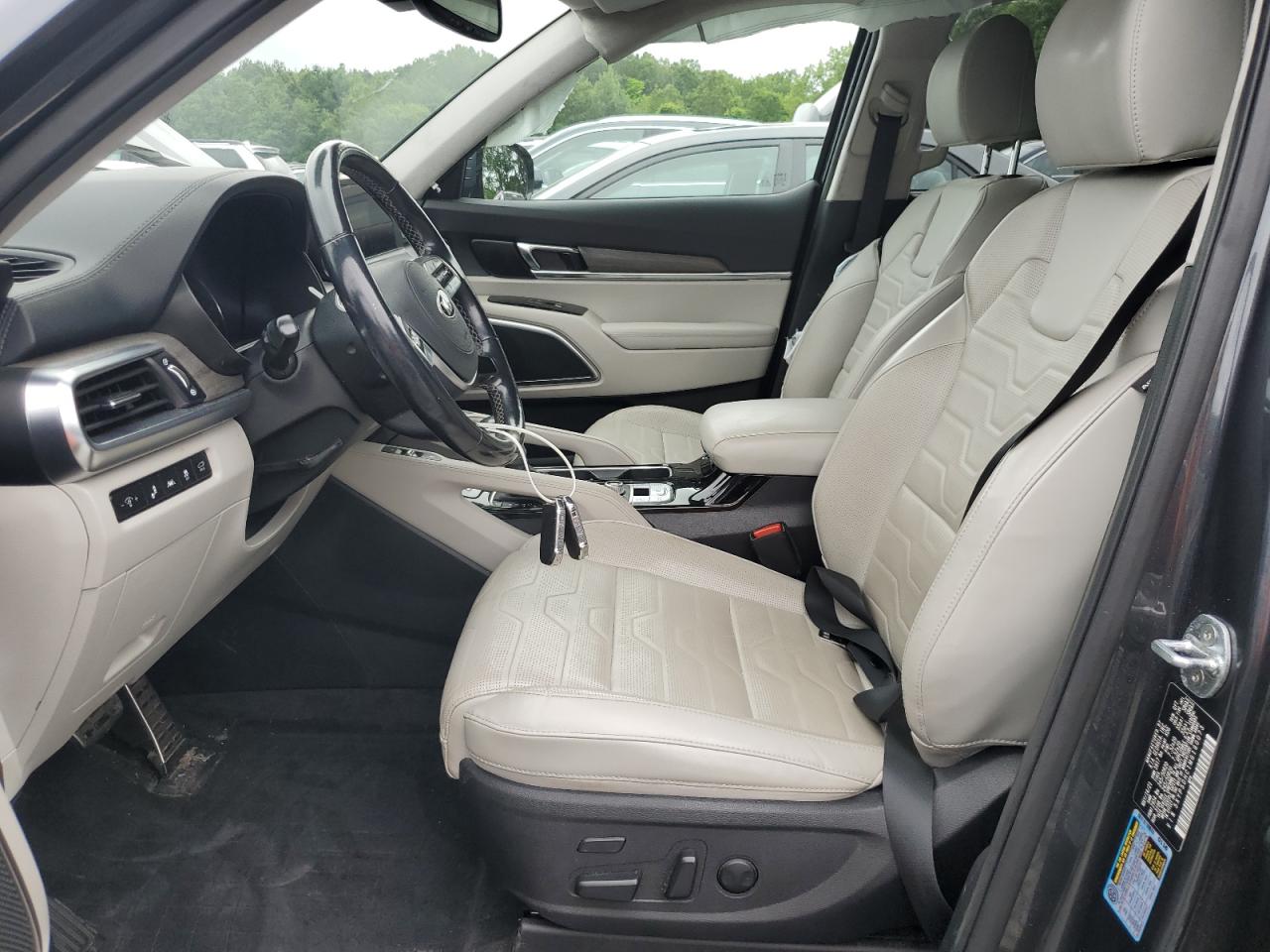 2021 Kia Telluride Sx VIN: 5XYP5DHC1MG190073 Lot: 64282865