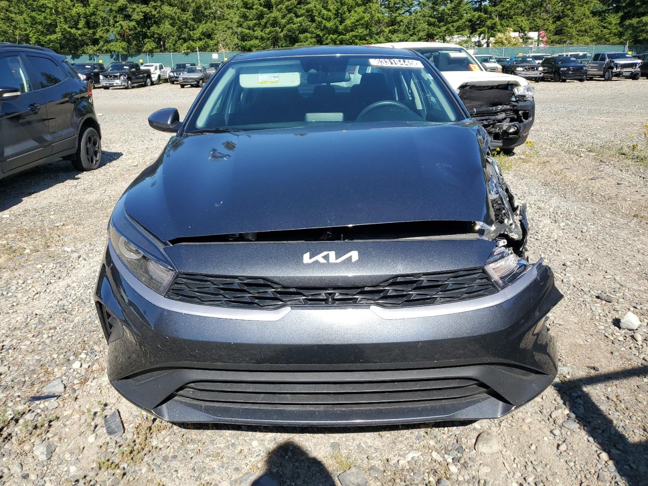 2024 Kia Forte Lx VIN: 3KPF24AD7RE750304 Lot: 63319445
